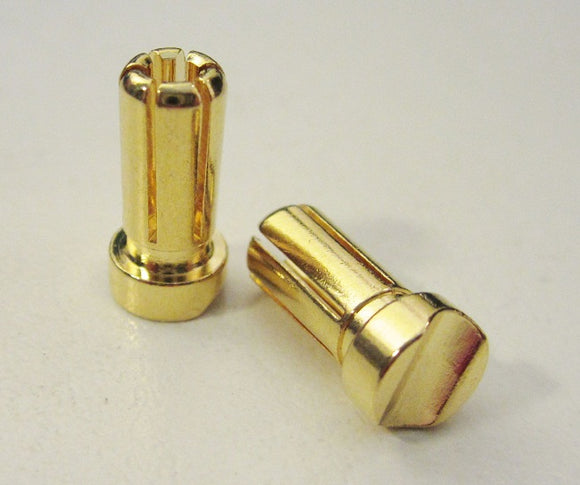 5mm Male Short Light Bullets (pr.) Gold 13mm - Race Dawg RC