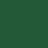 Acrylic Model Paint bottle, - Green