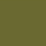 Acrylic Model Paint bottle, US Army Olive Drab FS - 025