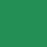 Acrylic Model Paint Bottle Pearl Deep - Green