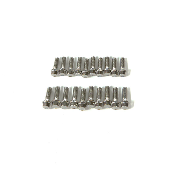 M2.5X8mm Scale Hex Bolts (20) - Race Dawg RC