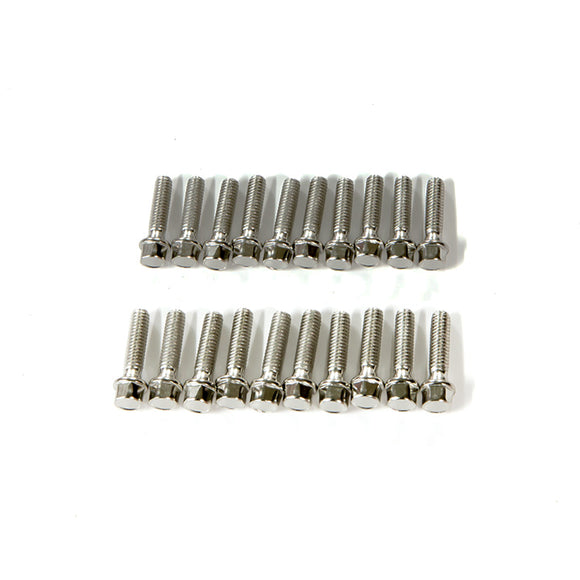 M2.5X10mm Scale Hex Bolts (20) - Race Dawg RC